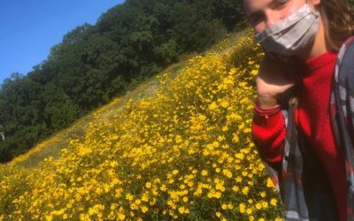 Surviving the Travel Bug During a Pandemic