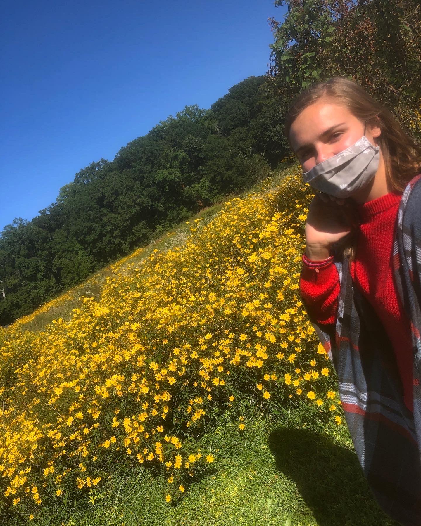 A00936C6-47BF-49D2-BEA9-3848B614B3CC