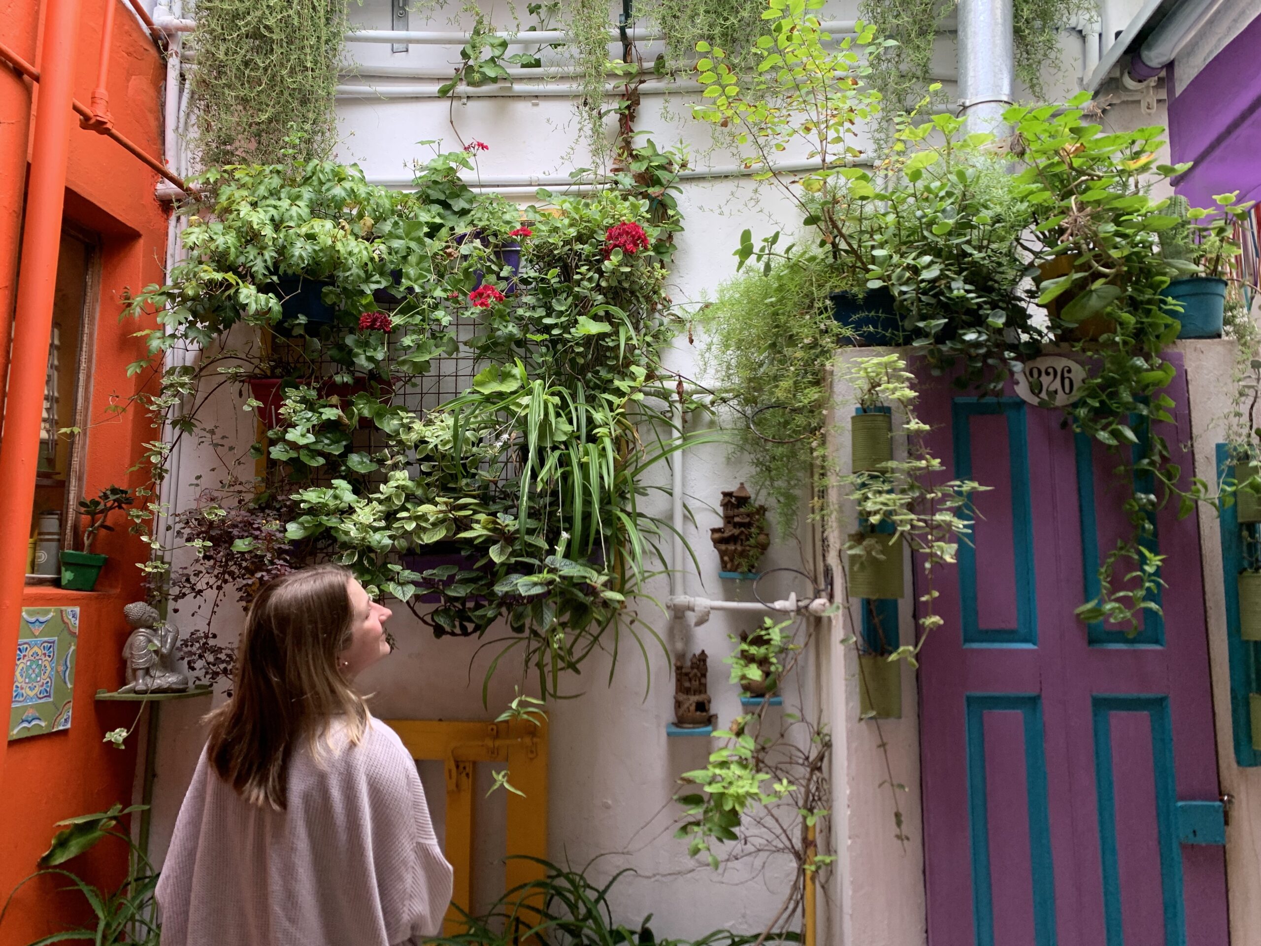 ARGENTINA – student colorful urban city – Western Washington University – Lily Berver mental health checklist