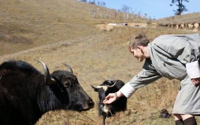 A Parent’s Perspective – API in Bhutan