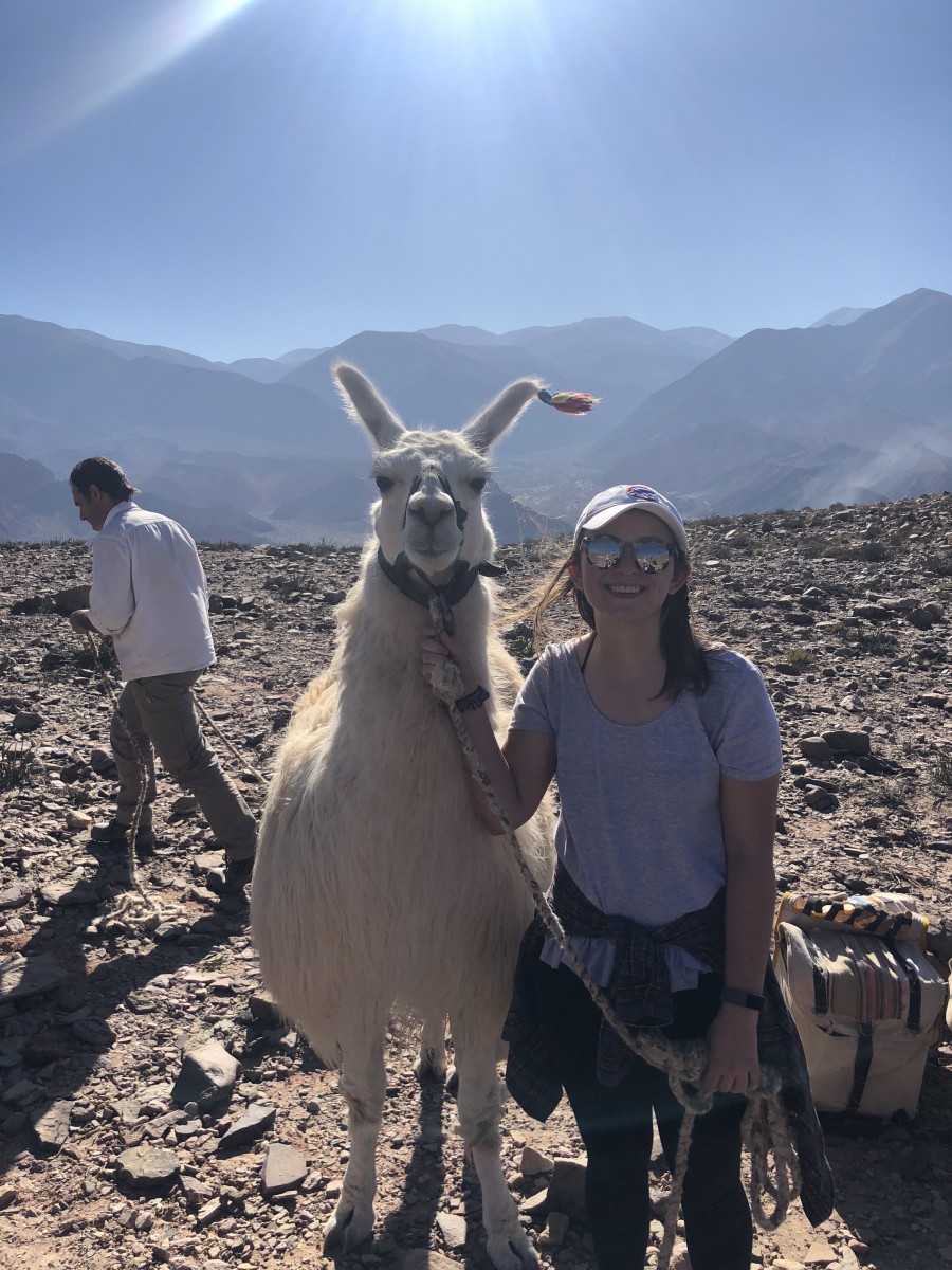 IMG_1832 (2) Study abroad student with llama in South America