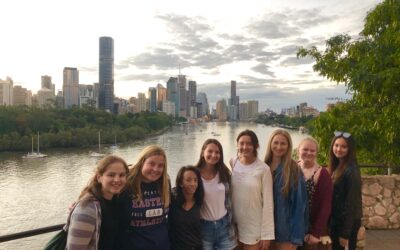 API’s Summer 2023 Programs