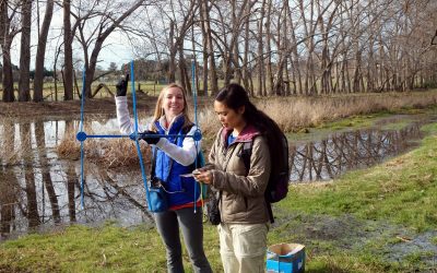 Internship Opportunities for API Students