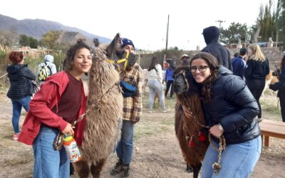 Study Abroad Questions and Answers From API’s SOC Team