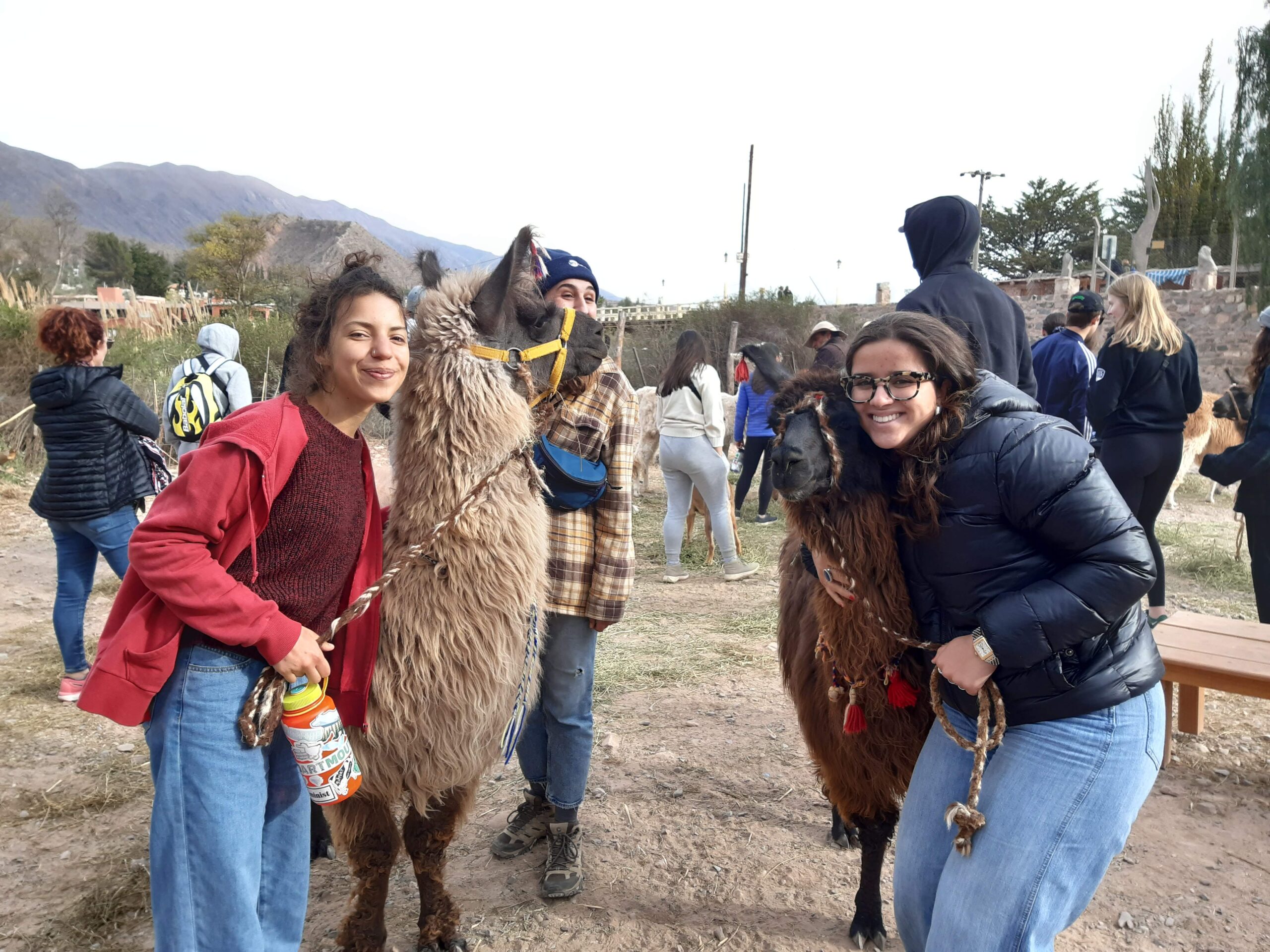 Summer Programs Section study abroad questions