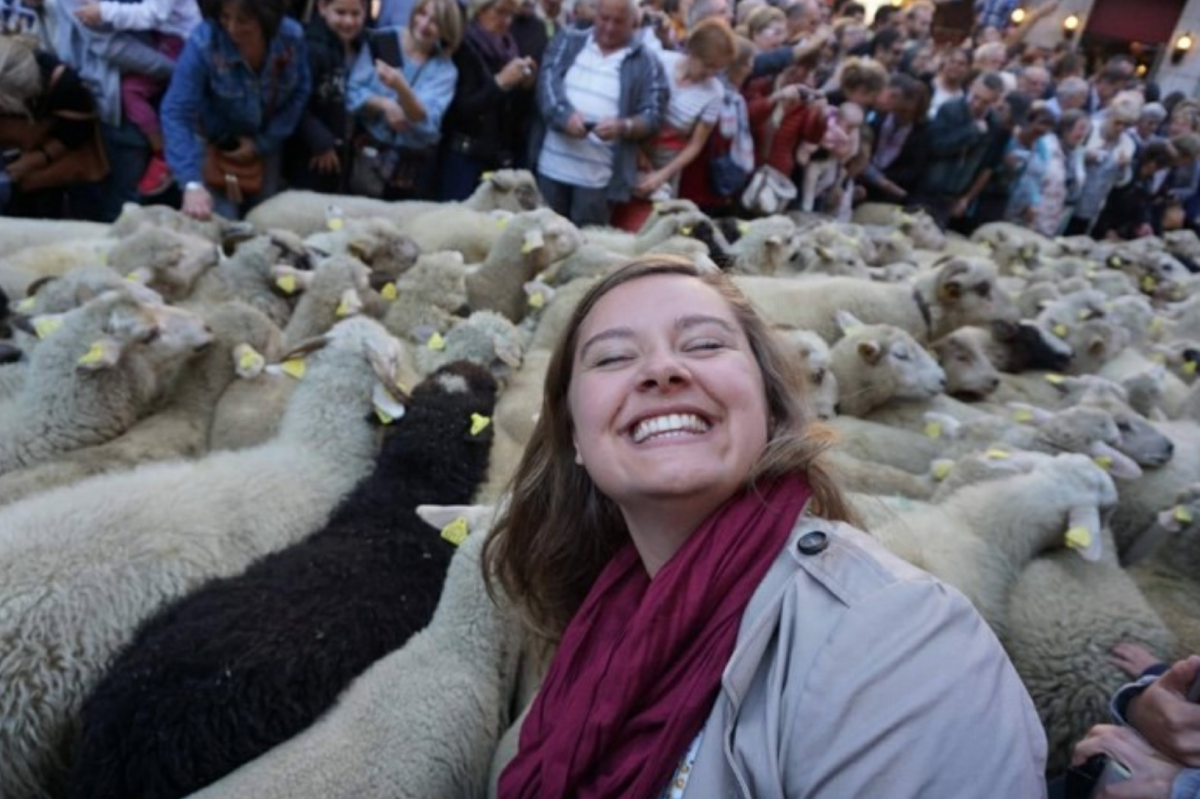 Screen Shot 2018-06-04 at 9.41.01 AM Hundreds of sheep getting corralled through the streets of Annecy on the Transhumance (the bringing of livestock down from the mountains for the winter season)