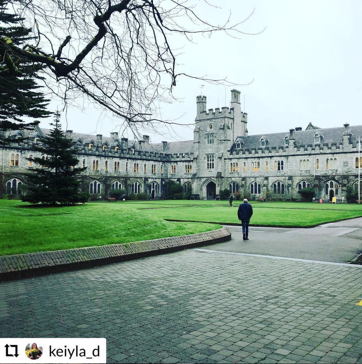 Screen Shot 2019-01-14 at 11.30.20 AM University College Cork