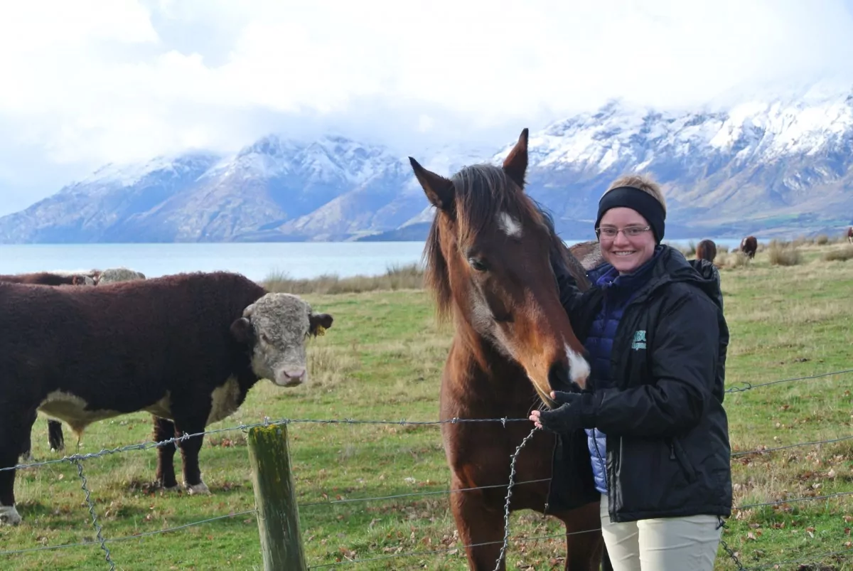Equine internship abroad